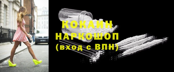 ПСИЛОЦИБИНОВЫЕ ГРИБЫ Михайлов