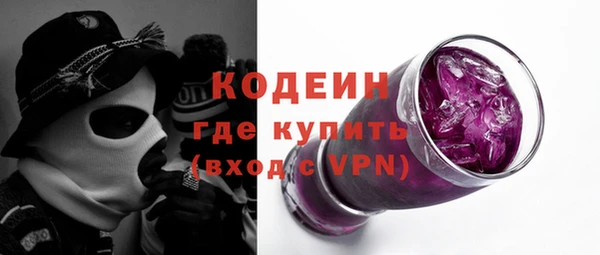 ПСИЛОЦИБИНОВЫЕ ГРИБЫ Михайлов
