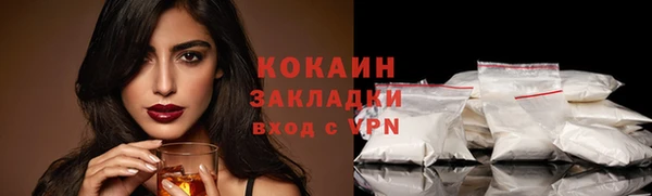 ПСИЛОЦИБИНОВЫЕ ГРИБЫ Михайлов
