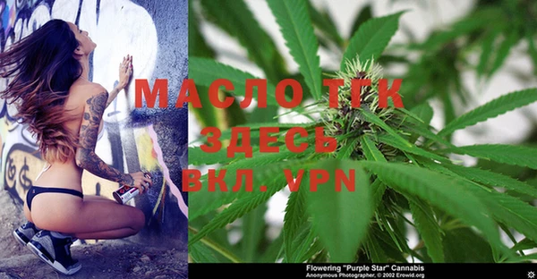 ПСИЛОЦИБИНОВЫЕ ГРИБЫ Михайлов