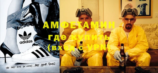 ПСИЛОЦИБИНОВЫЕ ГРИБЫ Михайлов