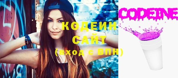 ПСИЛОЦИБИНОВЫЕ ГРИБЫ Михайлов