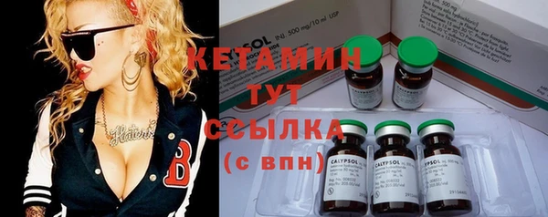 ПСИЛОЦИБИНОВЫЕ ГРИБЫ Михайлов