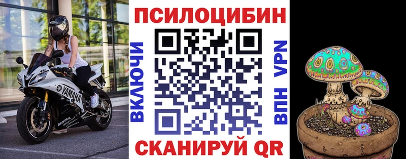 купить  цена  Первомайск  нарко площадка формула  Псилоцибиновые грибы Psilocybe 